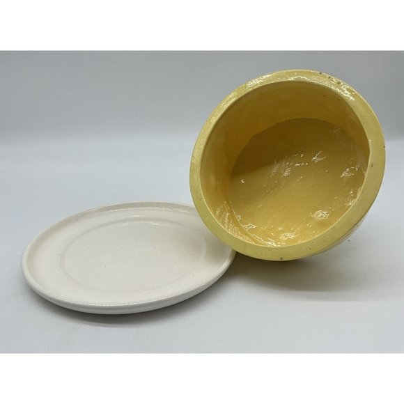 Cheese Dome In The Shape Of A Cheese Wheel w/Mouse Eating a Slice As a Handle - Picture 11 of 16